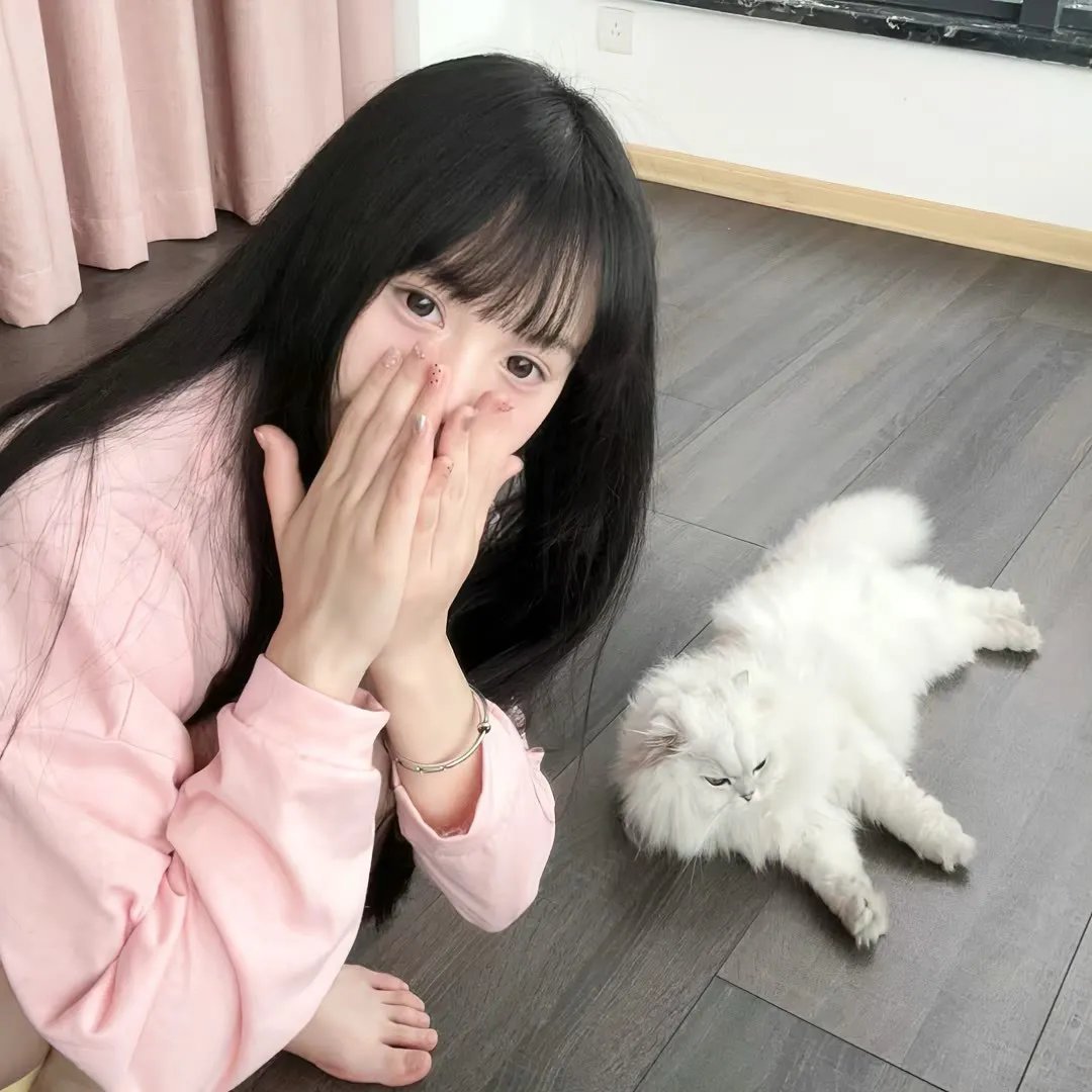 射雕英雄传之铁血丹心粤语